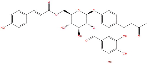 4'-羟基苯基-2-丁酮-4'-O-β-D-(2""-O-没食子酰-6""-O-对羟基桂皮酰)葡萄糖苷