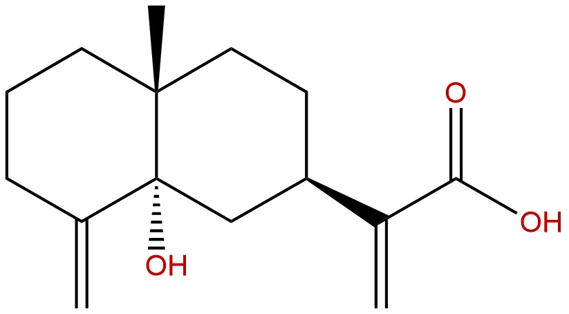 5α-羟基广木香酸