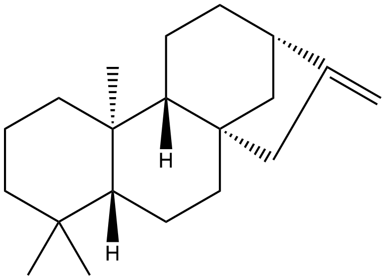 (-)-Phyllocladene