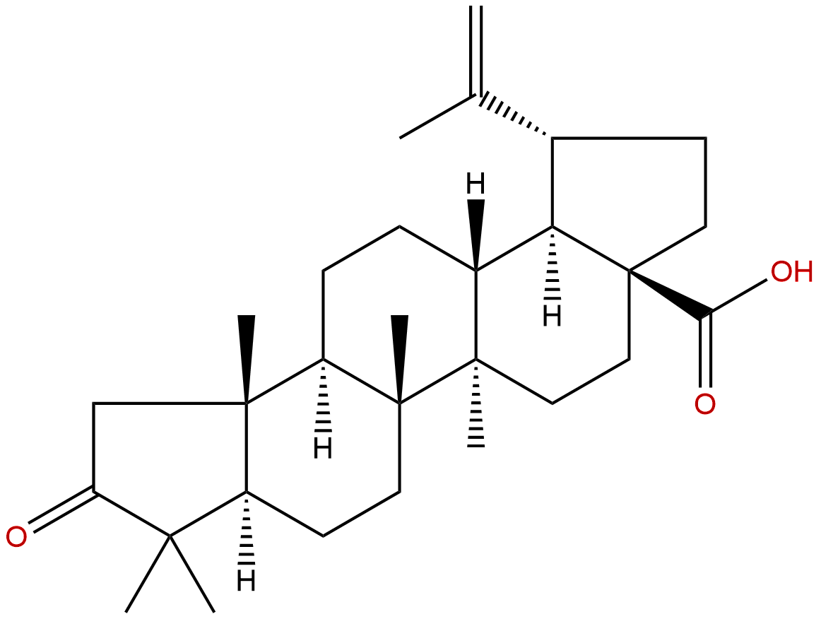 1-Norbetulonic acid