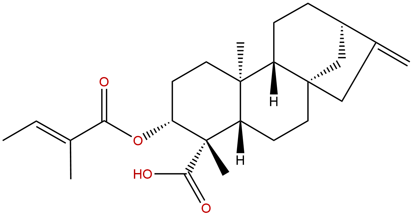 ent-3β-Tigloyloxykaur-16-en-19-oic acid