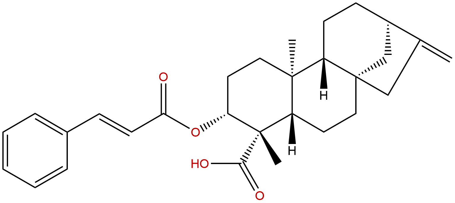 ent-3β-Cinnamoyloxykaur-16-en-19-oic acid