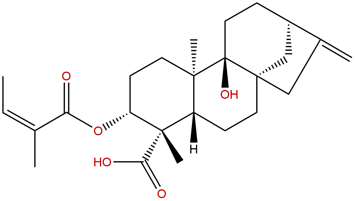 3α-Angeloyloxypterokaurene L3