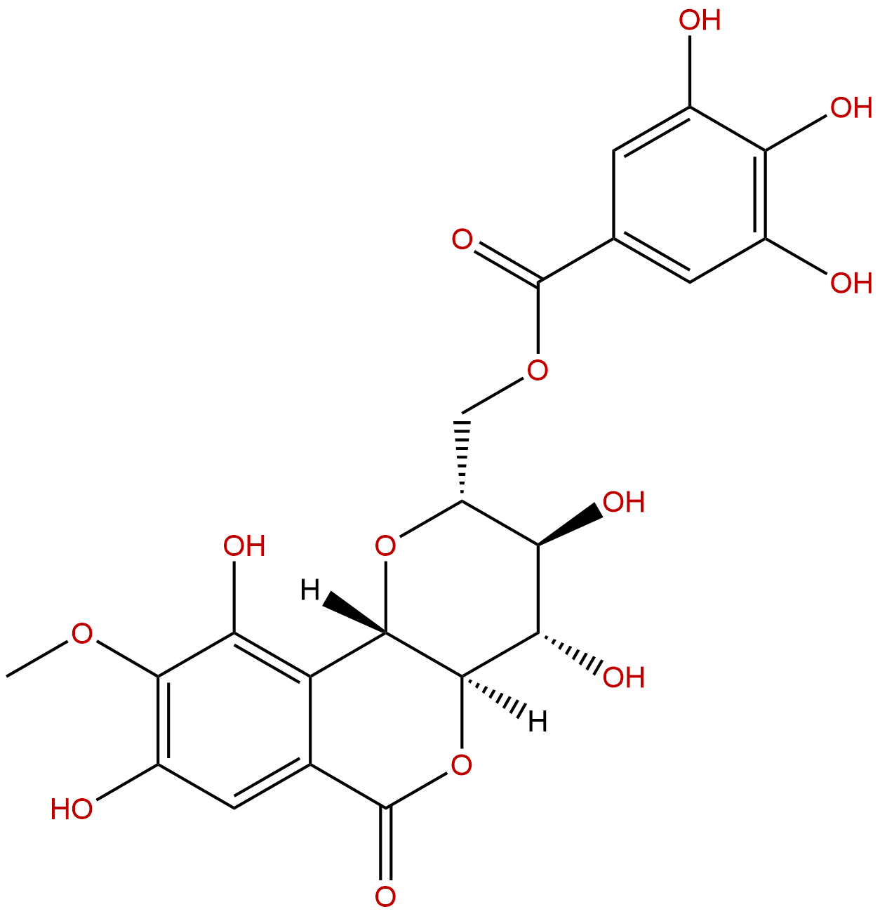 11-O-没食子酰岩白菜素