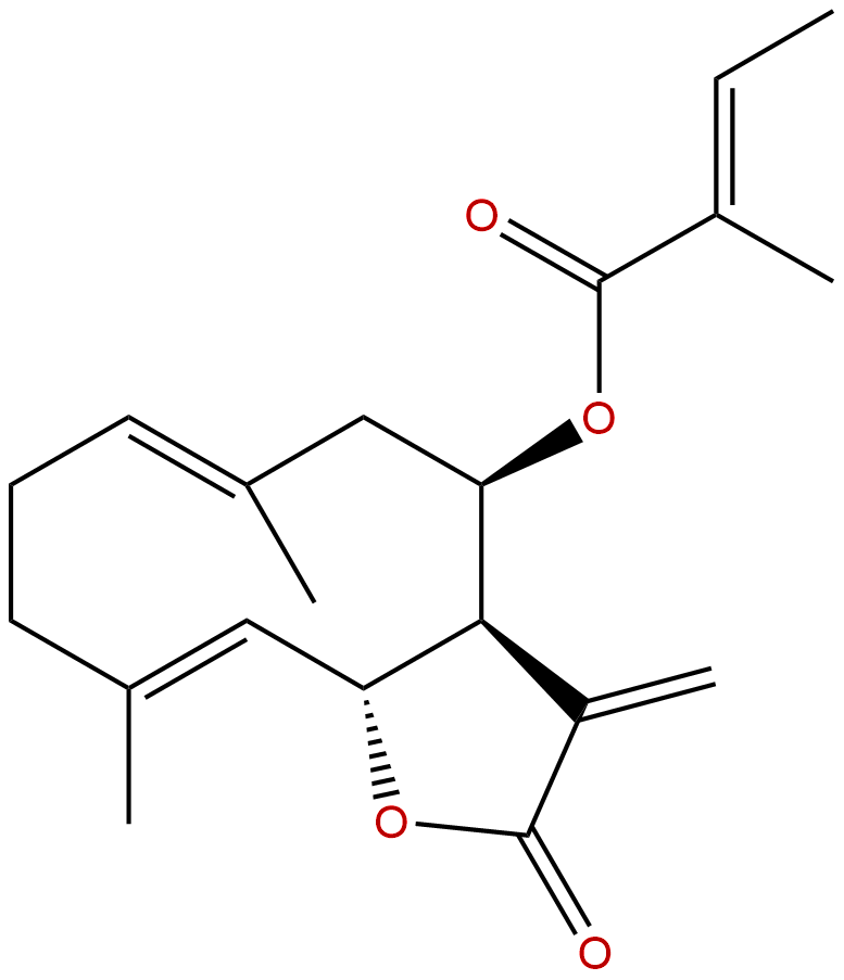 8β-Tigloyloxycostunolide