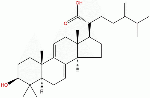 去氢齿孔酸