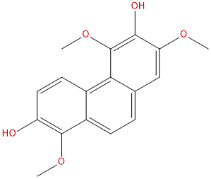 Denthyrsinin
