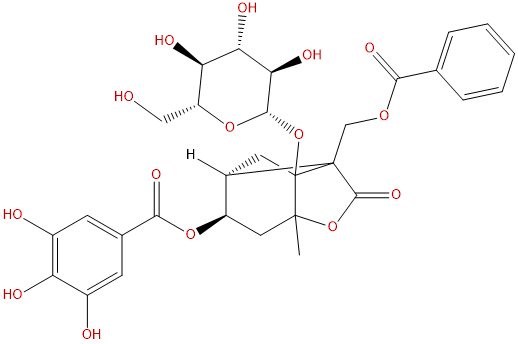 4-O-没食子酰白芍苷