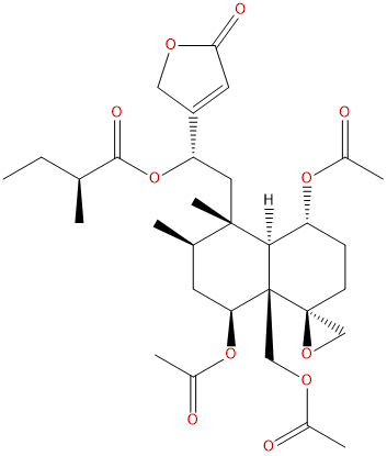 大籽筋骨草素B