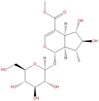 6β-羟基-7-表-马钱子苷