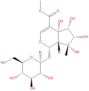 9-epi-Phlomiol