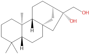 对映-贝壳杉-16β，17-二醇