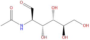 N-乙酰氨基葡萄糖