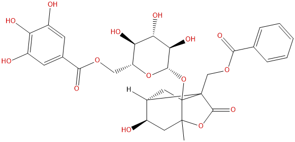 6'-O-没食子酰白芍苷