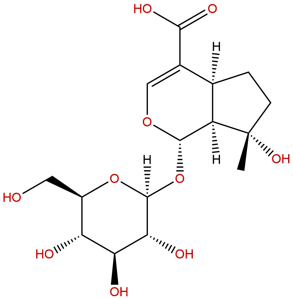 玉叶金花苷酸