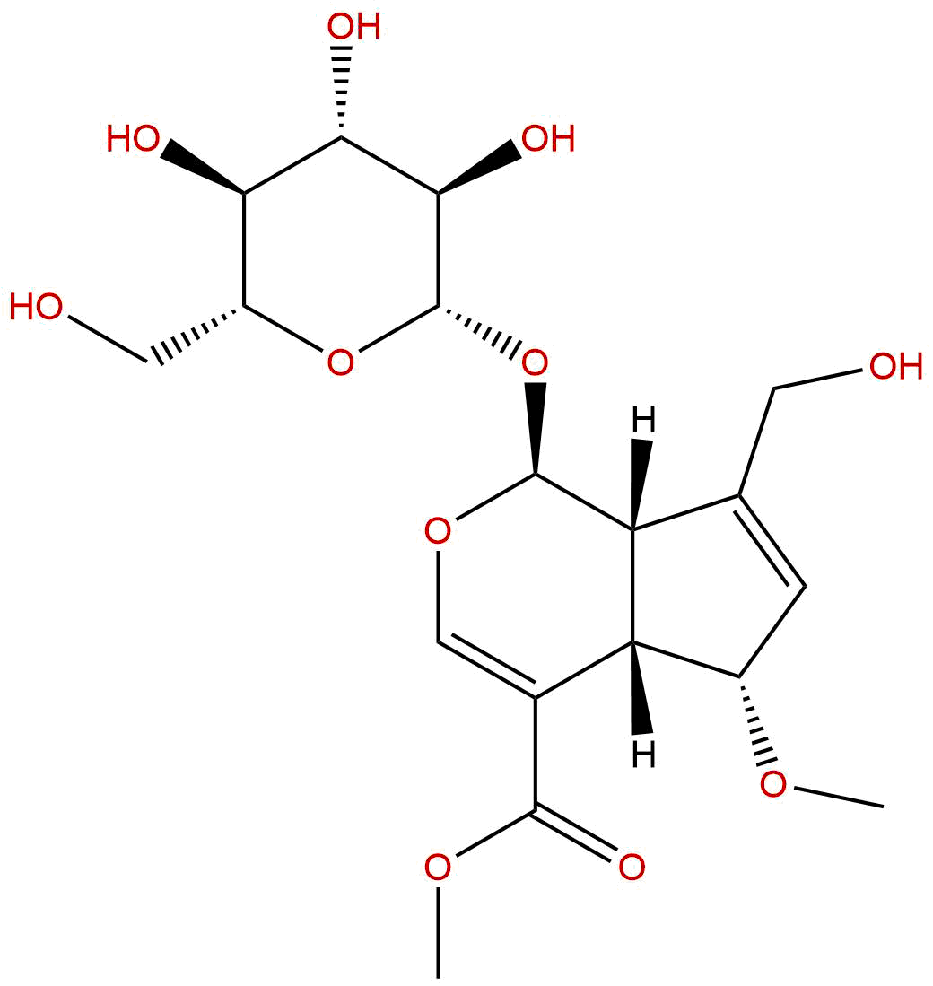 6-O-甲基去乙酰车叶草苷酸甲酯