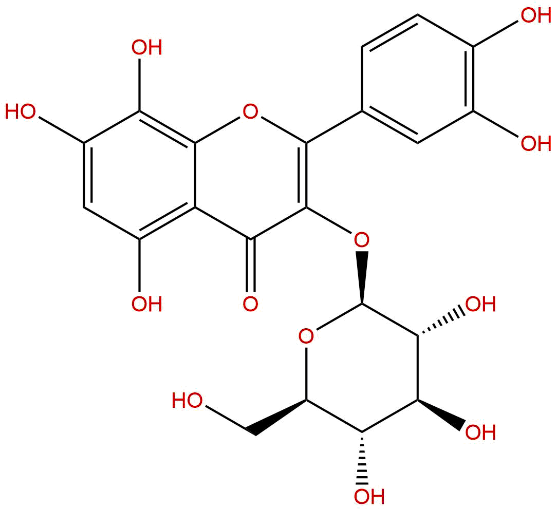 棉皮素-3-O-葡萄糖苷