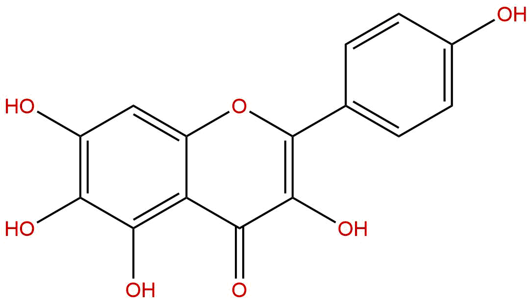 6-羟基山奈酚