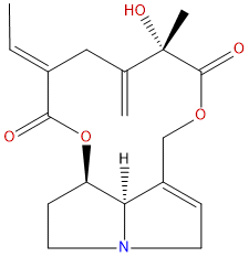 Spartioidine