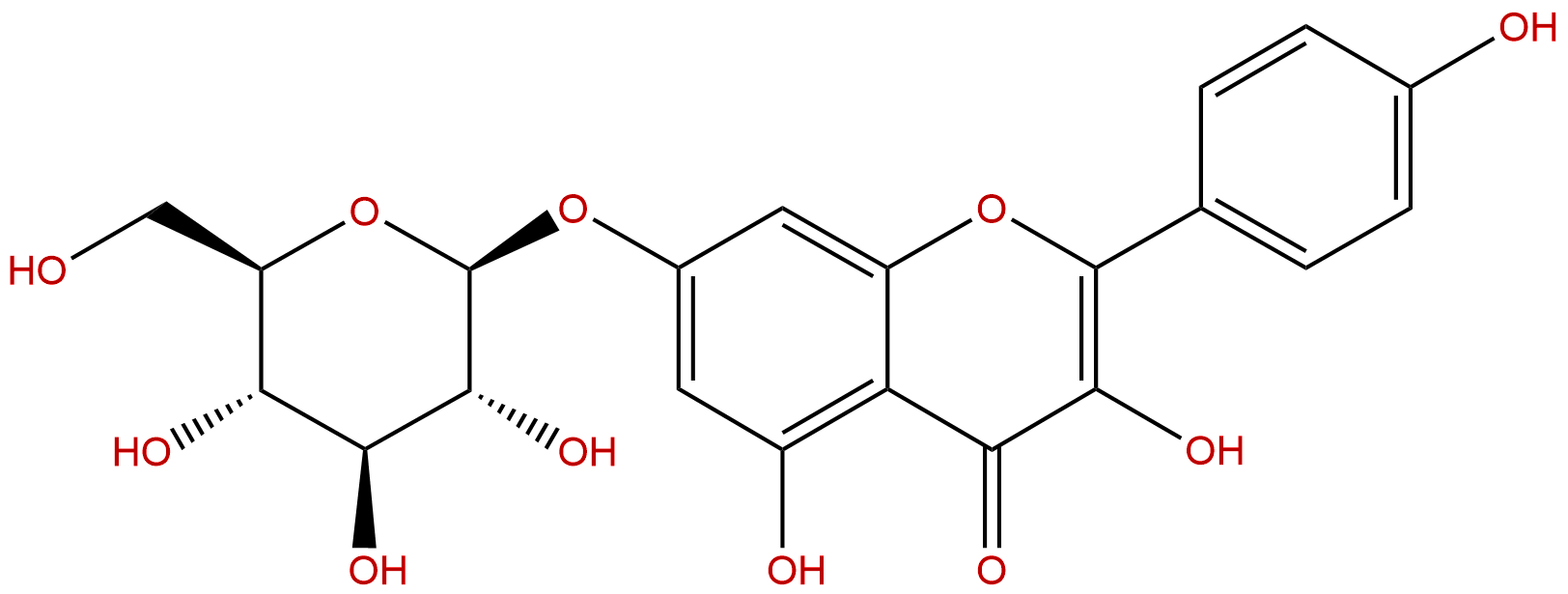 山柰酚7o葡萄糖苷