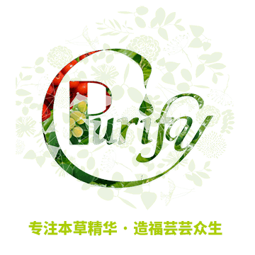 公司简介