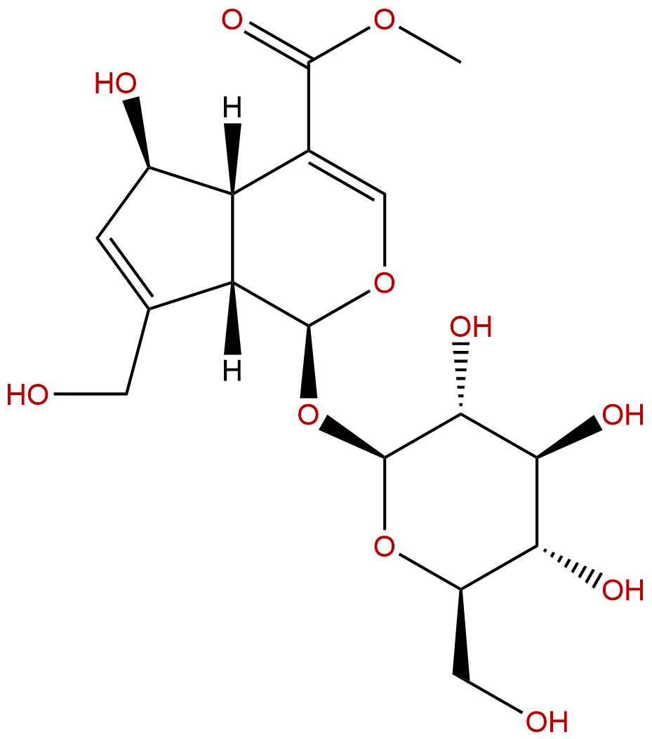 6-beta-羟基栀子苷(鸡矢藤次苷甲酯)
